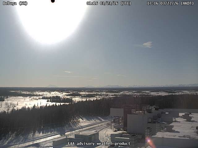 AVO Beluga Sw Webcam live webcam