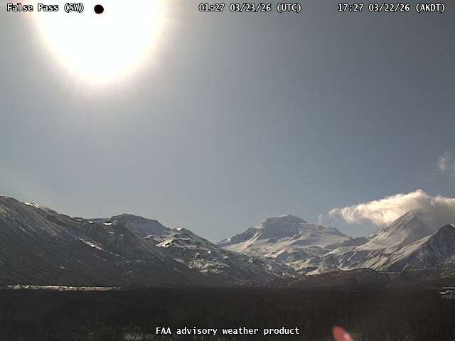 AVO Falsepass Sw Webcam live webcam
