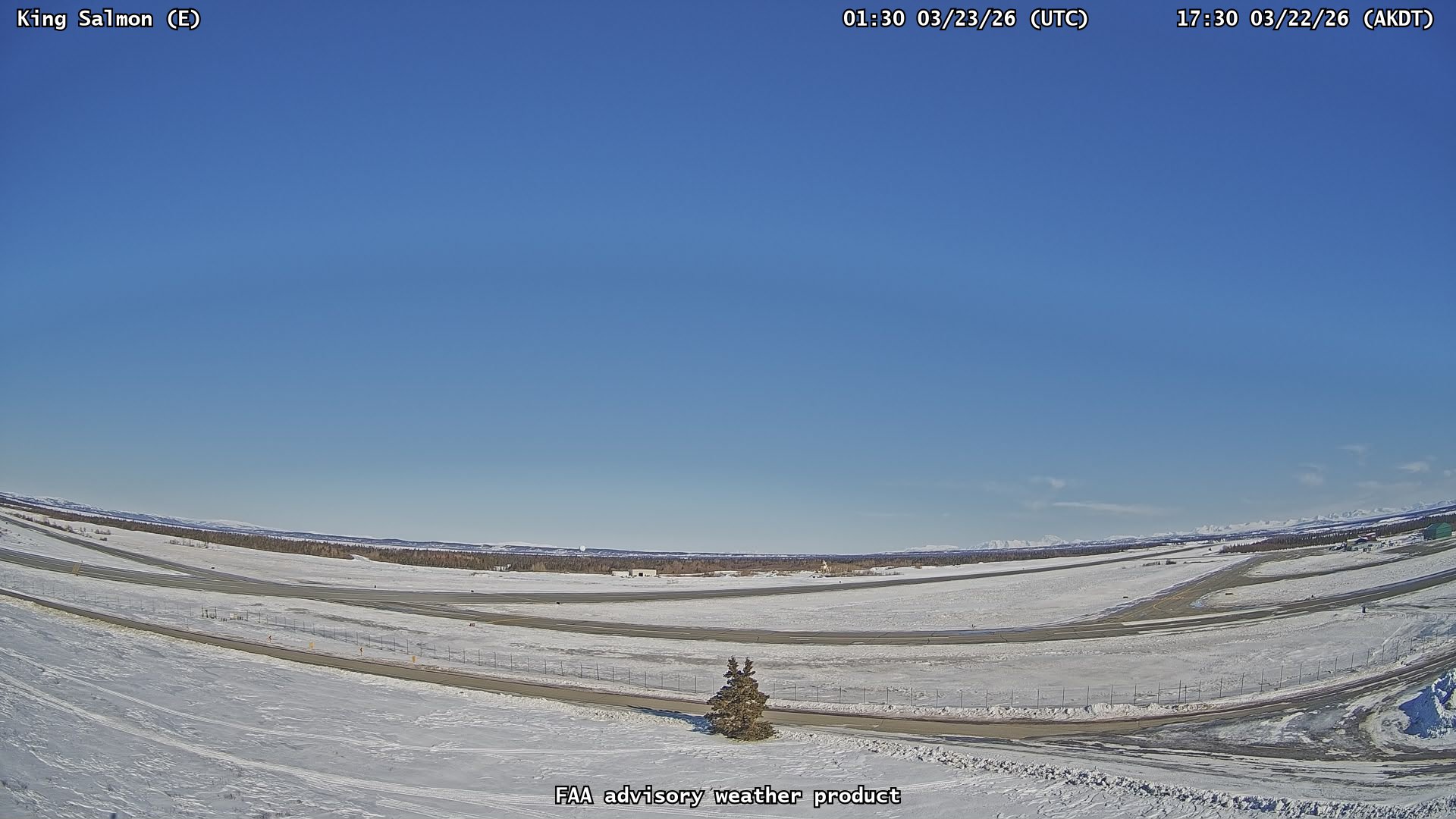 AVO Kingsalmon E Webcam live webcam