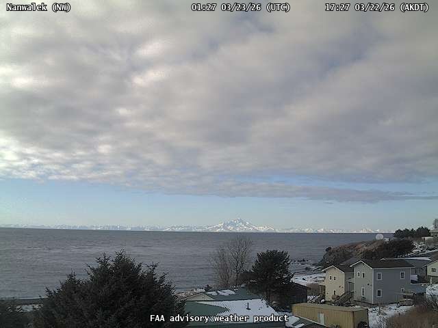 AVO Nanwalek Nw Webcam live webcam