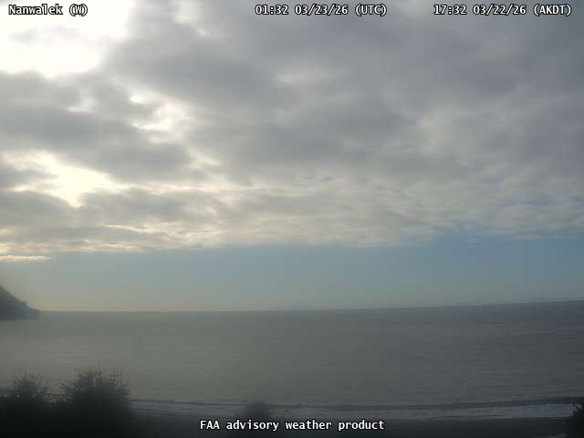 AVO Nanwalek W Webcam live webcam