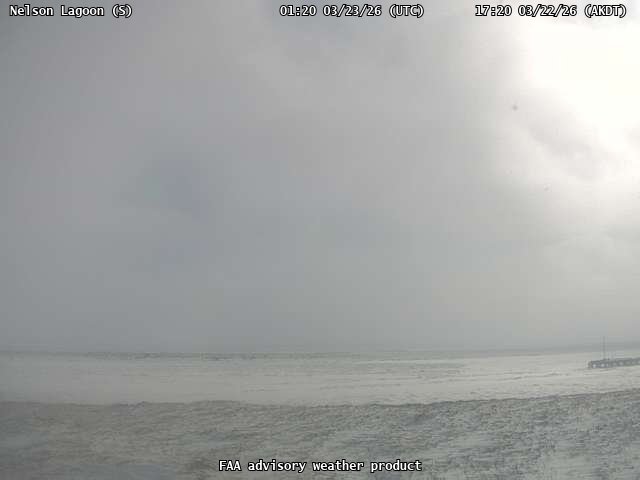 AVO Nelsonlagoon S Webcam live webcam