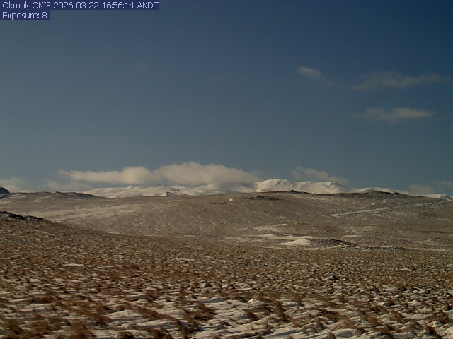 AVO Okif Webcam live webcam