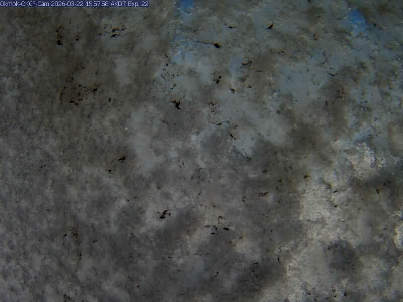 AVO Okmok Okcf Webcam live webcam