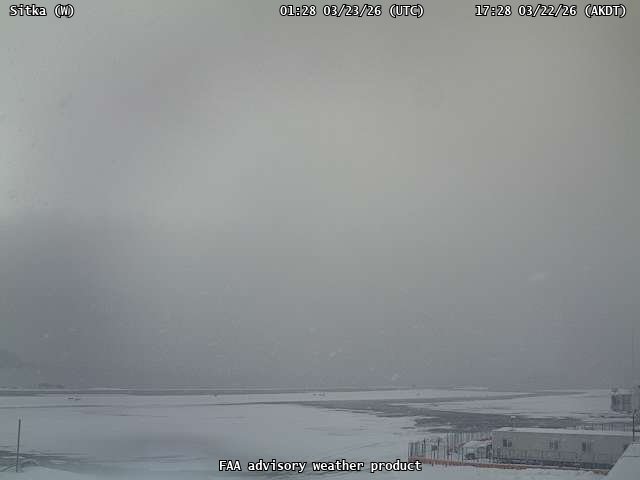 AVO Sitka W Webcam live webcam