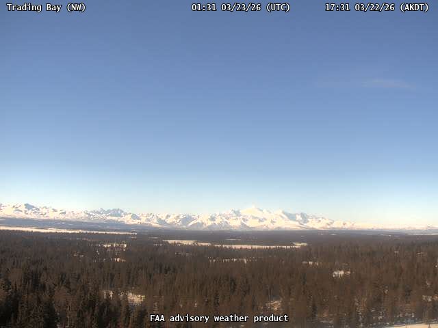 AVO Tradingbay Nw Webcam live webcam