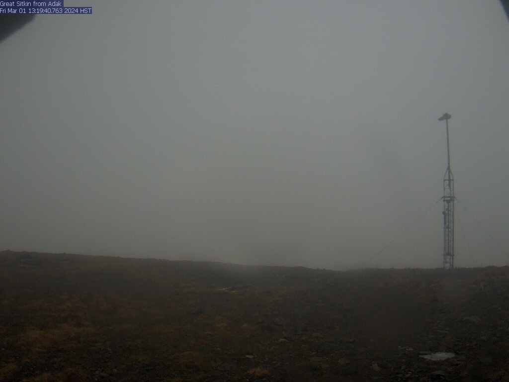 Last Image 20240301 231900 UTC