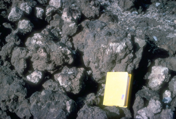 Juvenile material ejected during the August 18, 1992, 
eruption of Crater Peak, a satellite vent of Mount Spurr 
volcano. Ejecta that fell near the volcano consisted 
principally of these poorly inflated, brown  "cauliflower 
"-textured andesite bombs. Field notebook (14x20 cm; [6x8 
in]) shows scale. Photograph by C. Neal, U.S. Geological 
Survey, September 3, 1992.