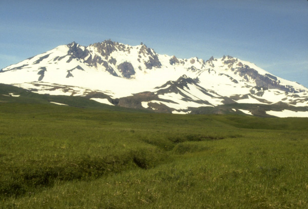 View, looking north, of Mount Recheshnoi, a deeply dissected, 1,984-m (6,510 ft)-high stratovolcano on central Umnak Island in the eastern Aleutian Islands. Unlike Vsevidof volcano, its neighbor to the west, Recheshnoi volcano has had no documented historical eruptions. Photograph by C. Nye, Alaska Division of Geological and Geophysical Surveys, August, 1985.