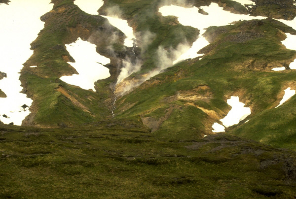 View of an active fumarole near Russian Bay on Mount Recheshnoi, a deeply dissected, 1,984-m (6,510 ft)-high stratovolcano on central Umnak Island in the eastern Aleutian Islands.  Photograph by C. Nye, Alaska Division of Geological and Geophysical Surveys, August, 1985.