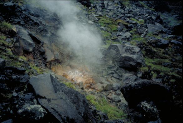A bubble bursts at a small, boiling hot springs on the flank of Makushin Volcano.  Hot springs and fumaroles may form when groundwater is heated by a magmatic source.