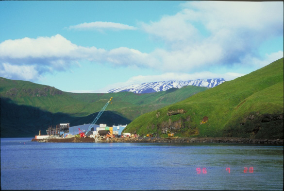 Trident seafood processing plant at Akutan Harbor.  Akutan Volcano is visible on the skyline.