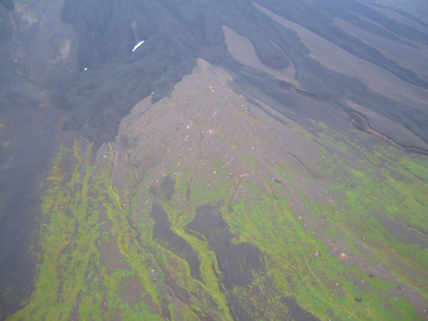 Debris flow emplaced late during 1929 eruption, overlain by dark 1980s-era (?) lava flows.