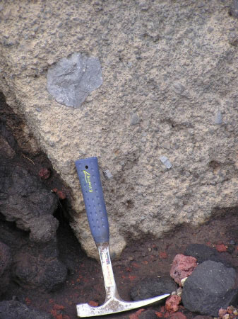 A further zoomed in photo of the undated pyroclastic deposit near the southern edge of the newly formed volcaniclastic debris flow fan deposit from the 2001 eruption. Geologic hammer for scale. The coarse-grained lapilli that are possibly welded together are observed with the larger clasts that were entrained within the pyroclastic flow.