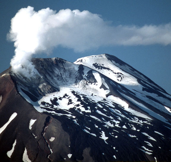 Gareloi Volcano, looking north (from Kavalga).  Image courtesy of Ian L. Jones, Department of Biology, Memorial  University.