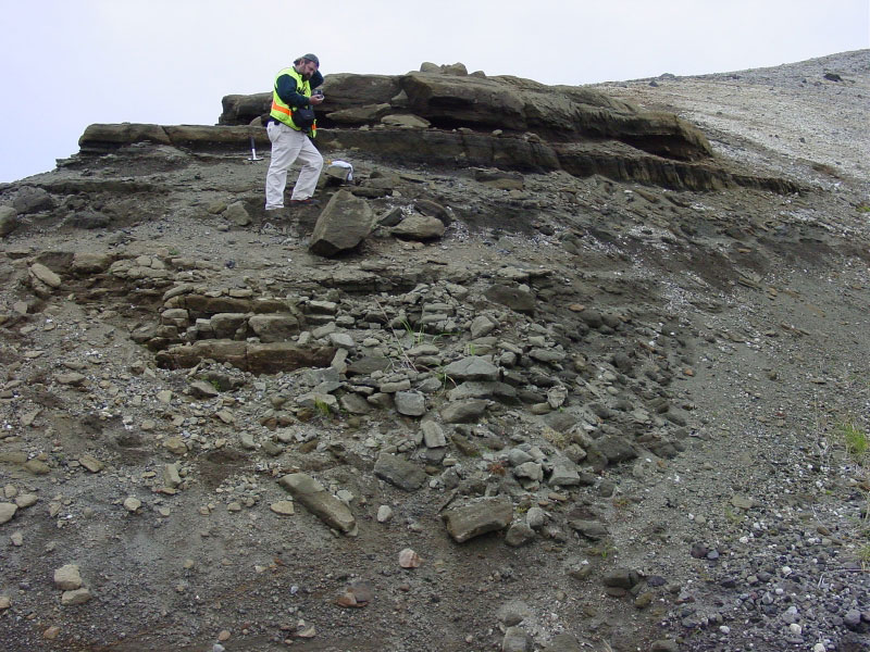 Dr. Chris Nye collecting samples of water-quenched basalt clasts in cross-bedded, water-lain volcanic deposits, south flank of Augustine. The white unit in the top righthand corner of the photo is a bed of felsic pumice lapilli.