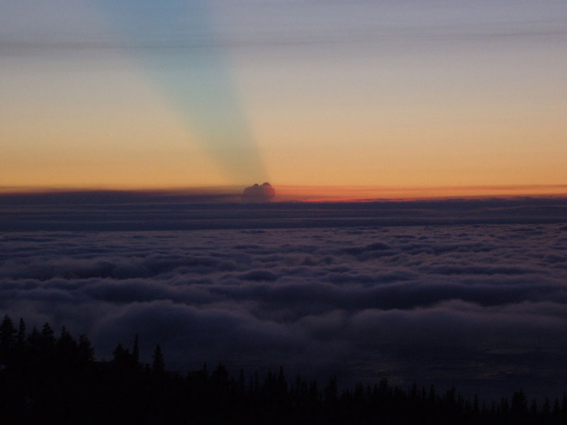 Augustine ash plume viewed from Anchorage, low fog in the foreground over Turnagain Sound.