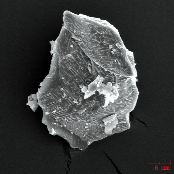 SEM image of an ash particle erupted by Augustine volcano on January 13, 2006. This is an individual plagioclase crystal.

The ash sample was collected during the ashfall in Homer, Alaska by John Paskievitch, AVO. The image was acquired by Pavel Izbekov using ISI-40 Scanning Electron Microscope at the Advanced Instrumentation Laboratory, University of Alaska Fairbanks. Image courtesy of AVO/UAF/USGS.