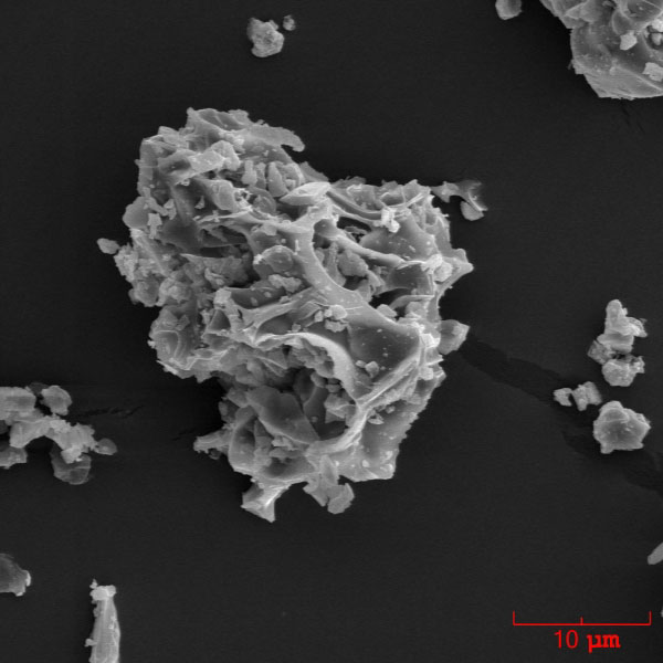 SEM image of a vesicular ash particle erupted by Augustine volcano on January 13, 2006. The ash sample was collected during the ashfall in Homer, Alaska by John Paskievitch, AVO. The image was acquired by Pavel Izbekov using ISI-40 Scanning Electron Microscope at the Advanced Instrumentation Laboratory, University of Alaska Fairbanks.