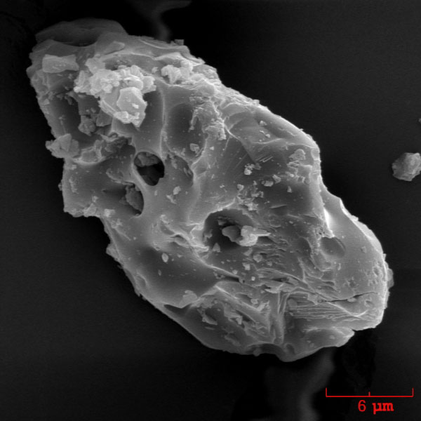 SEM image of a vesicular ash particle erupted by Augustine volcano on January 13, 2006.

The ash sample was collected during the ashfall in Homer, Alaska by John Paskievitch, AVO. The image was acquired by Pavel Izbekov using ISI-40 Scanning Electron Microscope at the Advanced Instrumentation Laboratory, University of Alaska Fairbanks. Image courtesy of AVO/UAF/USGS.
