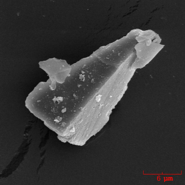 SEM image of an ash particle erupted by Augustine volcano on January 13, 2006. This is an individual plagioclase crystal.

The ash sample was collected during the ashfall in Homer, Alaska by John Paskievitch, AVO. The image was acquired by Pavel Izbekov using ISI-40 Scanning Electron Microscope at the Advanced Instrumentation Laboratory, University of Alaska Fairbanks. Image courtesy of AVO/UAF/USGS.