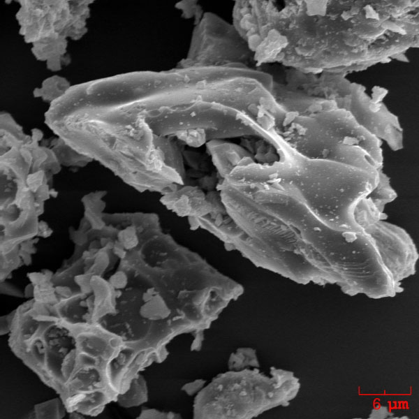 SEM image of vesicular ash particles erupted by Augustine volcano on January 13, 2006. The ash sample was collected during the ashfall in Homer, Alaska by John Paskievitch, AVO. The image was acquired by Pavel Izbekov using ISI-40 Scanning Electron Microscope at the Advanced Instrumentation Laboratory, University of Alaska Fairbanks.