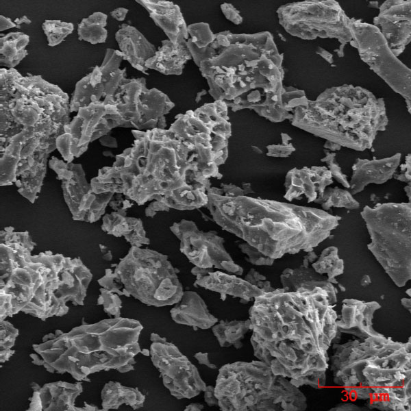 SEM image of the ash erupted by Augustine volcano on January 13, 2006.

The ash sample was collected during the ashfall in Homer, Alaska by John Paskievitch, AVO. The image was acquired by Pavel Izbekov using ISI-40 Scanning Electron Microscope at the Advanced Instrumentation Laboratory, University of Alaska Fairbanks. Image courtesy of AVO/UAF/USGS.