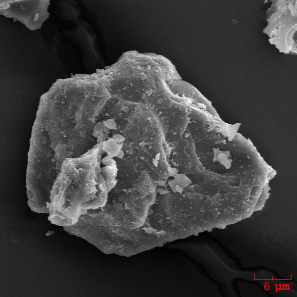 SEM image of an ash particle erupted by Augustine volcano on January 13, 2006. This is an individual plagioclase crystal. The ash sample was collected during the ashfall in Homer, Alaska by John Paskievitch, AVO. The image was acquired by Pavel Izbekov using ISI-40 Scanning Electron Microscope at the Advanced Instrumentation Laboratory, University of Alaska Fairbanks.
