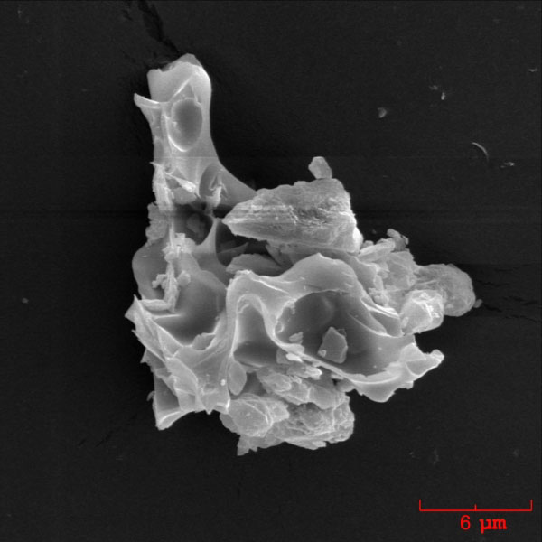 SEM image of a vesicular ash particle erupted by Augustine volcano on January 13, 2006.

The ash sample was collected during the ashfall in Homer, Alaska by John Paskievitch, AVO. The image was acquired by Pavel Izbekov using ISI-40 Scanning Electron Microscope at the Advanced Instrumentation Laboratory, University of Alaska Fairbanks. Image courtesy of AVO/UAF/USGS.