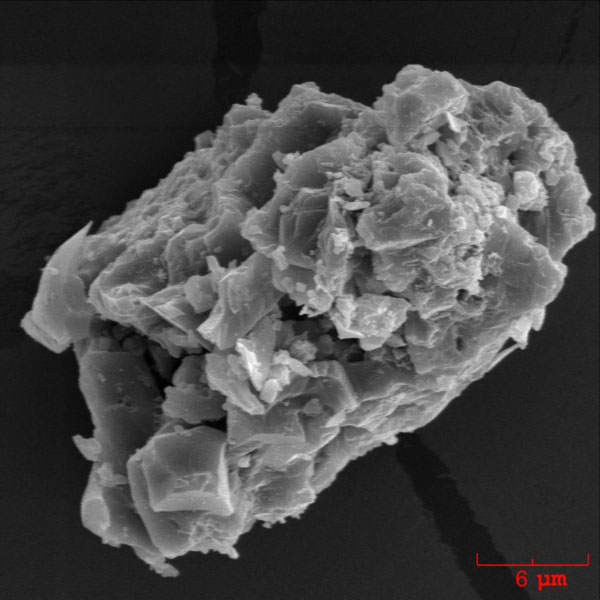 SEM image of an irregularly shaped ash particle erupted by Augustine volcano on January 13, 2006. The ash sample was collected during the ashfall in Homer, Alaska by John Paskievitch, AVO. The image was acquired by Pavel Izbekov using ISI-40 Scanning Electron Microscope at the Advanced Instrumentation Laboratory, University of Alaska Fairbanks. 