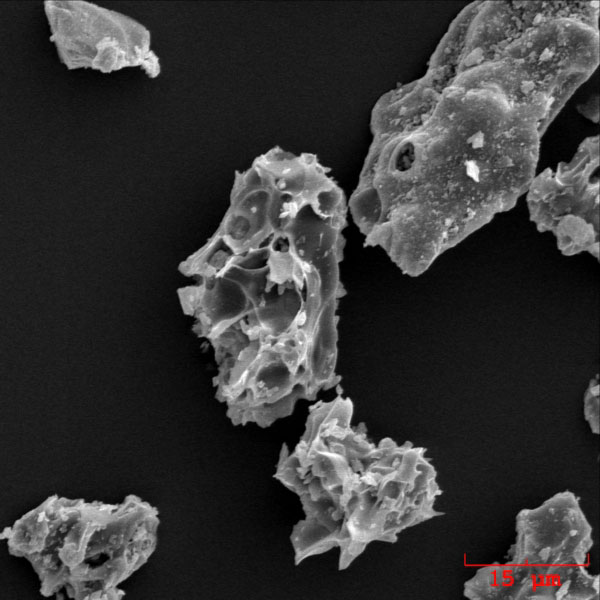 SEM image of ash particles erupted by Augustine volcano on January 13, 2006.

The ash sample was collected during the ashfall in Homer, Alaska by John Paskievitch, AVO. The image was acquired by Pavel Izbekov using ISI-40 Scanning Electron Microscope at the Advanced Instrumentation Laboratory, University of Alaska Fairbanks. Image courtesy of AVO/UAF/USGS.