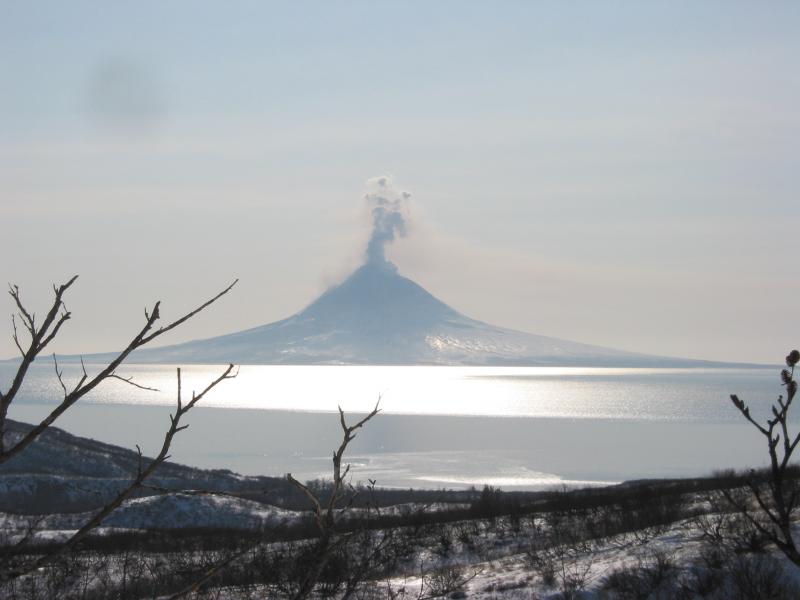 View of Augustine Island from near Ursus Head.  
