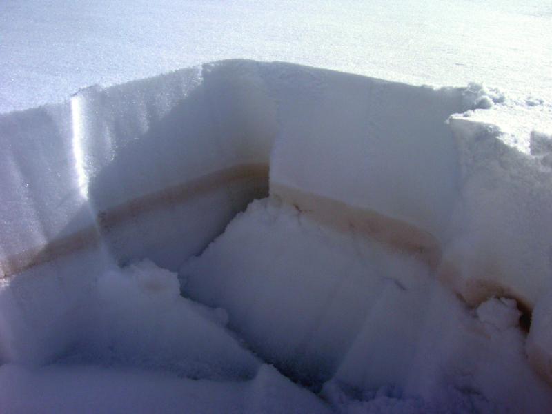 Snow outcrop showing an ash-fall deposit from March 17, 2006 in Pope-Vannoy Landing, SE Lake Iliamna. About a foot of fresh snow covers the disseminated brown ash fall layer.  The ash fall is presumably from elutriate clouds generated from block and ash flows on Augustine Volcano in combination with very high winds.