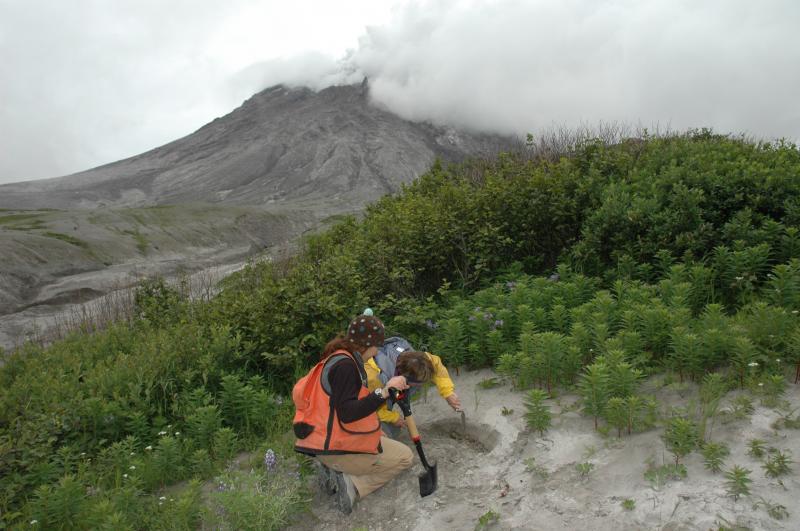 Kristi Wallace and Tina Neal examine a tephra deposit on northeast flank of Augustine volcnao.