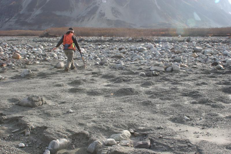 Fourpeaked area field work, 14-15 October, 2006. Kristi Wallace (AVO-USGS) up to her ankles in slurry/debris flow from Fourpeaked volcano, Douglas River bar.