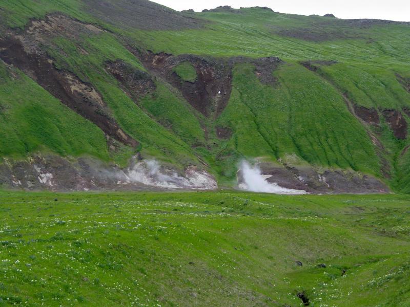 One of several thermal areas located west of Korovin and Kluichef on northern Atka Island. This particular one is informally called Old Steamy by the geologist who recently worked on the island.