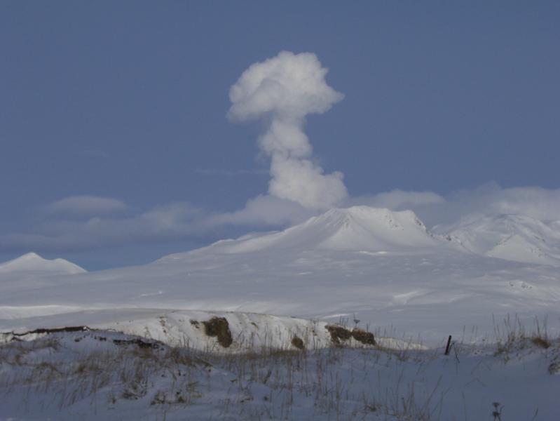 Korovin volcano puffing steam, captured by Louis Nevzoroff in Atka.