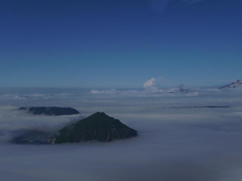Aerial view of Okmok eruption (plume in background). The community of Unalaska/Dutch Harbor is visible in the left-foreground. Photograph taken by Shawn Dahle, National Oceanic and Atmospheric Administration, National Marine Mammal Lab.