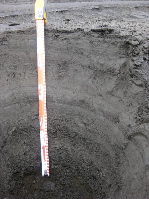 Outcrop excavated high on the northeast flanks, above cape Idak. This photgraph shows the basic stratigraphy of the northeast directed tephra fall deposits. Two coarse layers at the base (probably July 12th blasts) are followed by repetitious fine to medium ash layers up section. Any structure in the fine ash layers at the top of the section could have resulted from aeolian re-working syn or post deposition
