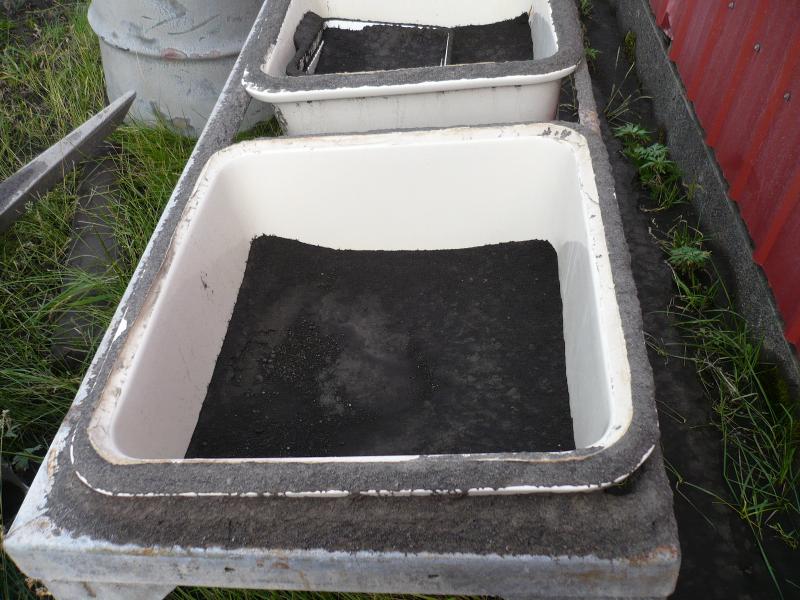 Scenes from the Fort Glenn ranch showing ash fall still mantling many surfaces - total thickness now compacted by rain and somewhat winnowed by wind is about 3 cm.