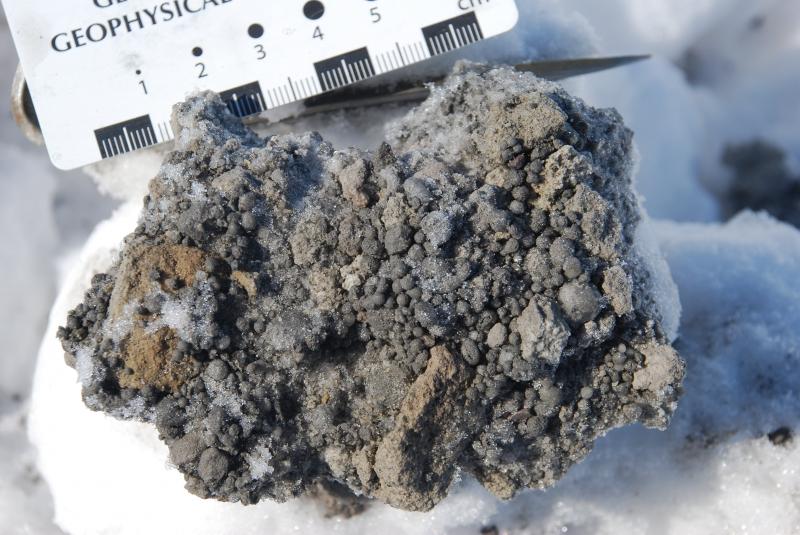 Close-up of 3/26 fall deposit layer in snow at RDWB. Pumice lapilli (3-6 cm) and accretionary lapilli. Heli-supported fieldwork, Redoubt Volcano, 21 April, 2009.