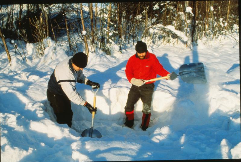 Jim Riehle and Willie Scott  collecting tephra from 1989-1990 eruption of Redoubt Volcano.