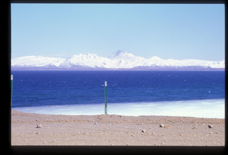 Pavlof 1997. View from Cold Bay. Photograph courtesy of Christina Neal. 