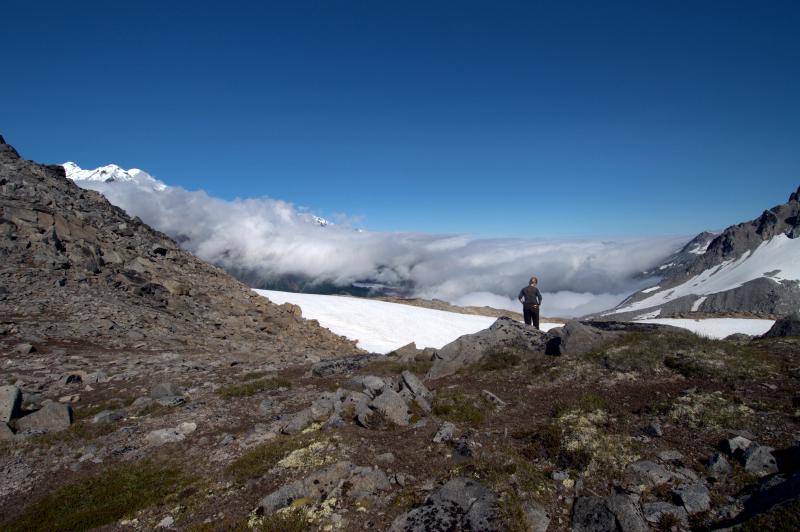 								Helena Buurman watches the fog in the Chakachatna River valley from station CKL.