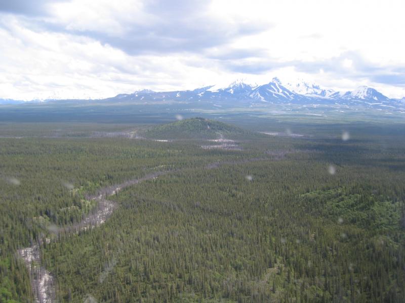Shrub mud volcano.  Aerial view from the west.  Mt. Drum in distance.  Shrub stands about 100 m above the Copper River basin floor.  Stream in foreground drains the mud volcano to the Copper River.