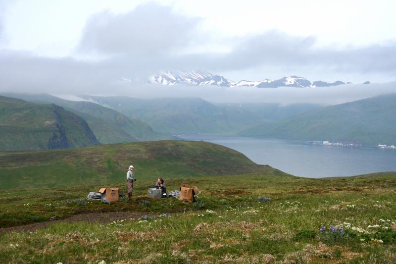 AVO field technician Ed Clark and graduate student Summer Miller install an infrasound array at station AKSD on Akutan, designed to monitor explosive eruptions from Akutan. The summit of Akutan is partially obscured by clouds, and the village of Akutan is visible in the photograph&#039;s far right.