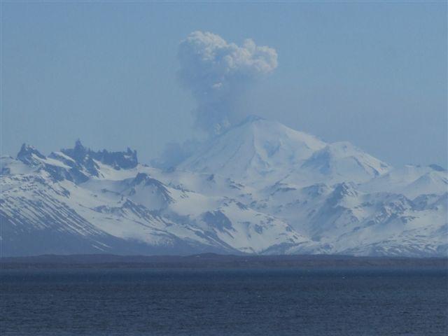 View of Pavlof's plume, about noon on May 14, 2013. Photograph courtesy of Jeffrey Doerning. Photograph taken from Cold Bay, which lies about 36 miles southwest of Pavlof). 