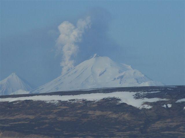 Pavlof in eruption, May 14, 2013, between 4 and 8 pm. Photo courtesy of Jeffrey Doerning, Cold Bay.