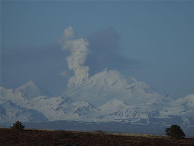 Pavlof in eruption, May 14, 2013, between 4 and 8 pm. Photo courtesy of Jeffrey Doerning, Cold Bay.