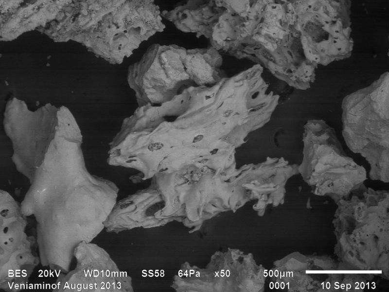 Backscattered electron image of ash erupted from Veniaminof volcano, collected near the vent on August 18, 2013 by AVO staff Game McGimsey. The ash is composed almost exclusively of juvenile vesicular and blocky glassy particles.  Microlites are visible in some glass shards.  
